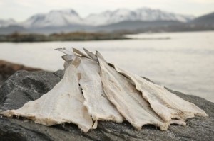Klippfisk